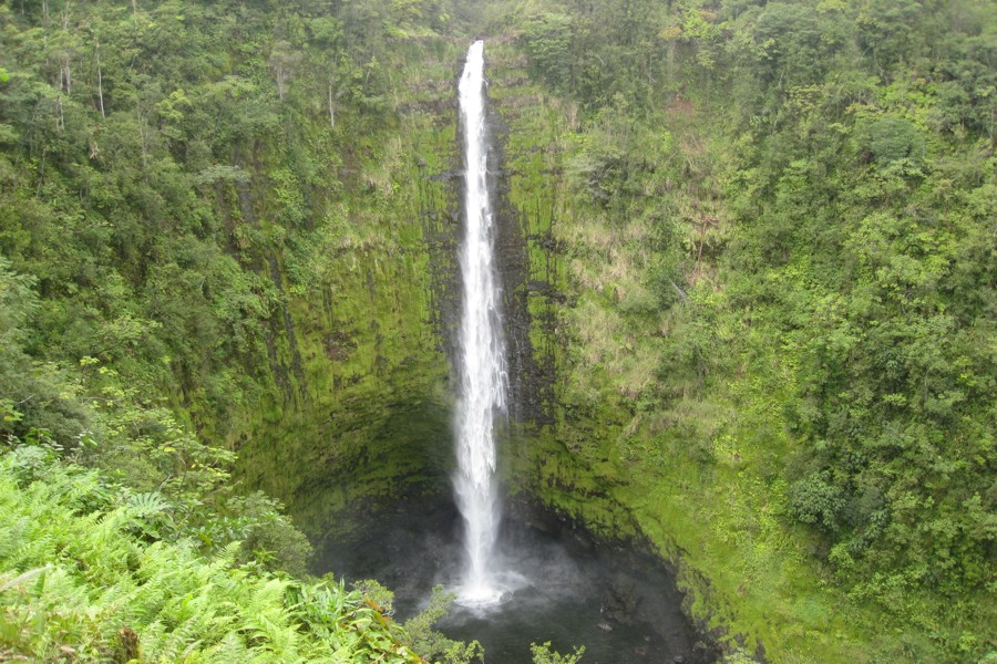 ../image/akaka falls 7.jpg